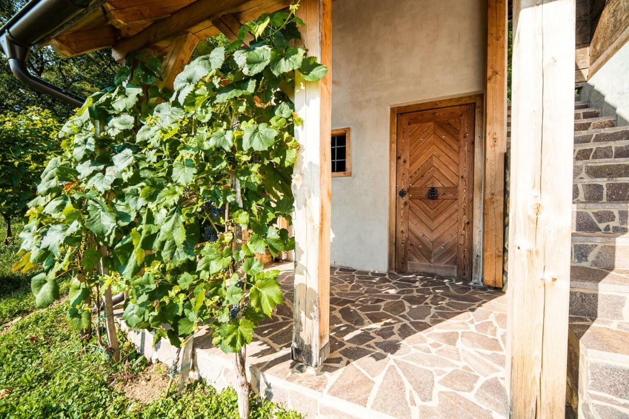 Maison d'hôtes Sleme house à Krška Vas Extérieur photo