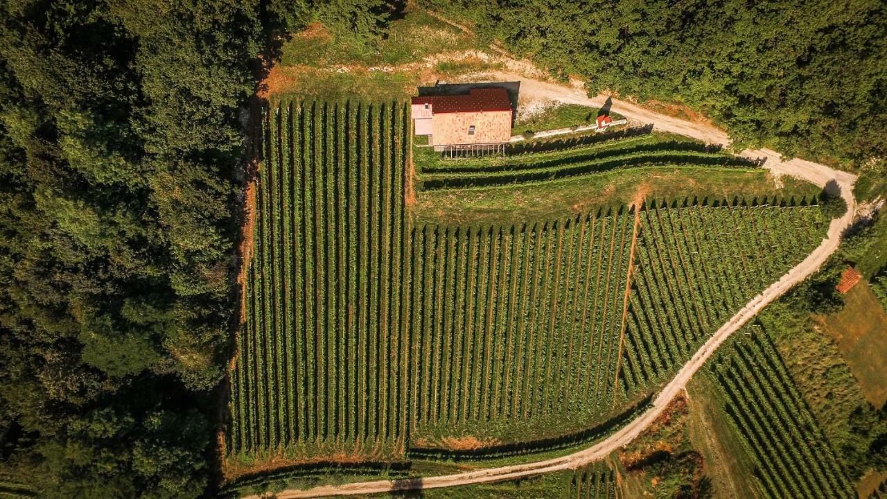 Maison d'hôtes Sleme house à Krška Vas Extérieur photo