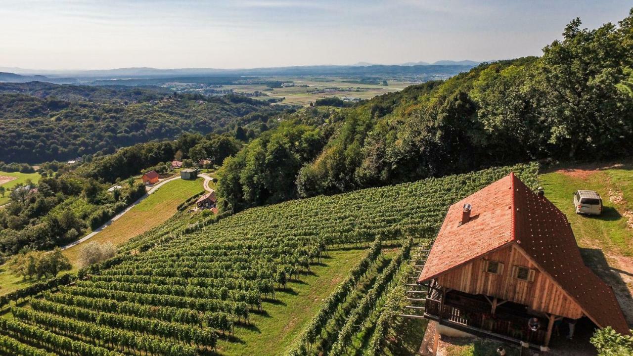 Maison d'hôtes Sleme house à Krška Vas Extérieur photo