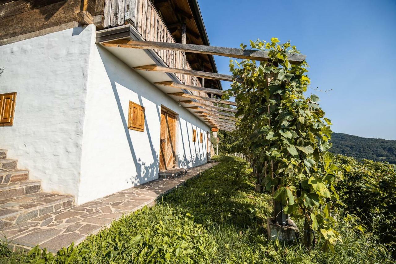 Maison d'hôtes Sleme house à Krška Vas Extérieur photo