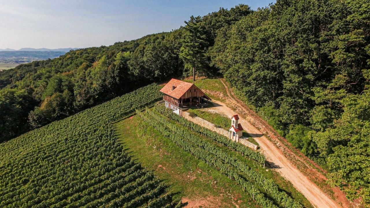 Maison d'hôtes Sleme house à Krška Vas Extérieur photo